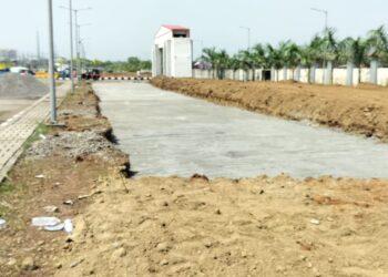 रिक्षा स्टँडसाठी झाडांची कत्तल