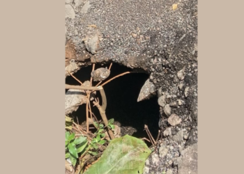 मोहोपाडा रस्त्याला भगदाड