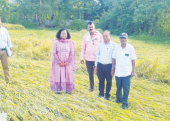सुधागडात कृषी अधिकाऱ्यांकडून शेतीची पाहणी