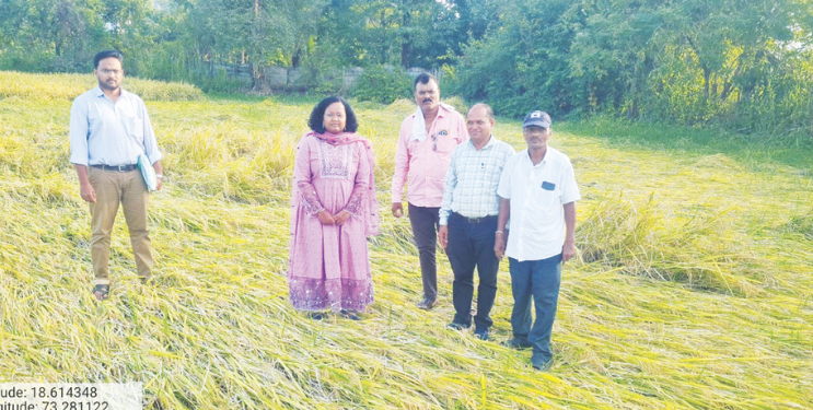 सुधागडात कृषी अधिकाऱ्यांकडून शेतीची पाहणी