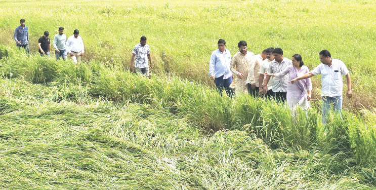 चित्रलेखा पाटील शेतकऱ्यांच्या बांधावर