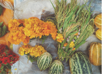 दसऱ्यानिमित्त भाताच्या लोंबीना मागणी