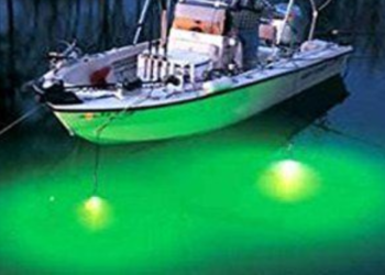 एलईडी मासेमारीला पारंपरिक मच्छीमारांचा विरोध