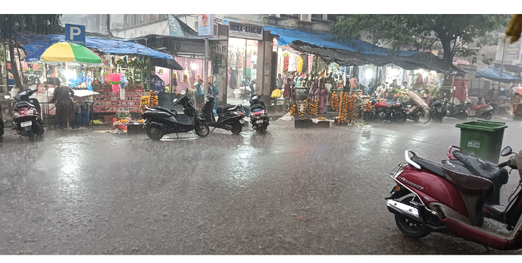 कापणीच्या हंगामात पाऊस