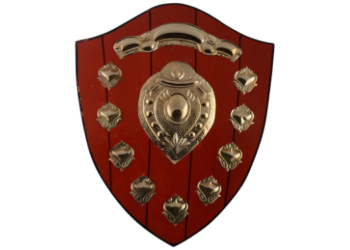 मुंबईचे शालेय क्रिकेट रचणार नवा इतिहास