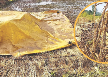 अवकाळीचा पुन्हा तडाखा