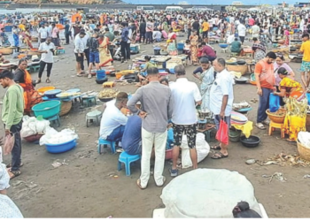 हर्णे बंदरात मासळीची लाखोंची उलाढाल