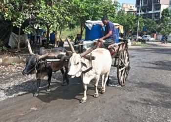 तहानलेल्यांना बैलगाडीचा आधार