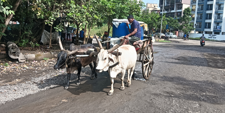 तहानलेल्यांना बैलगाडीचा आधार