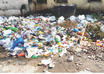 स्थानकात स्वच्छतेचा दिखावा