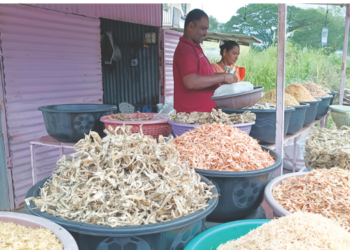 परतीच्या पावसाचा व्यवसायांना फटका