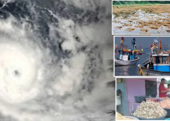 पावसाने रायगडकरांचे अर्थकारण कोलमडले