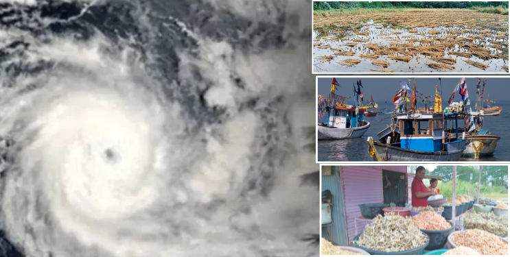 पावसाने रायगडकरांचे अर्थकारण कोलमडले