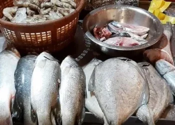 खवय्यांच्या खिशाला चाट!