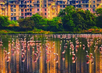 99 टक्के पाणथळ असुरक्षित!