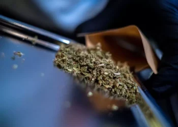 कळंबोलीतून साडेपाच किलो गांजा केला जप्त