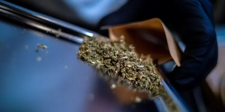 कळंबोलीतून साडेपाच किलो गांजा केला जप्त