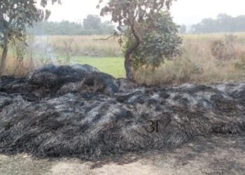 भाताच्या मोळ्यांना आग