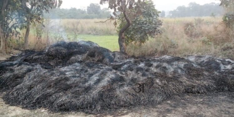 भाताच्या मोळ्यांना आग