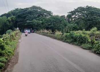 चोंढी पुलाच्या दुरुस्तीकडे दुर्लक्ष