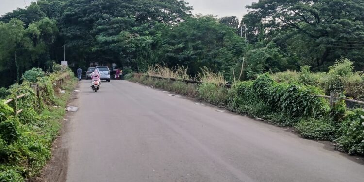 चोंढी पुलाच्या दुरुस्तीकडे दुर्लक्ष