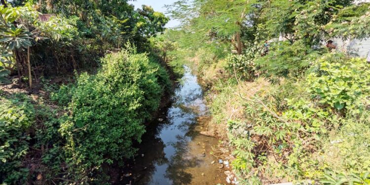 माणगावातील पाण्याची पातळी घसरली