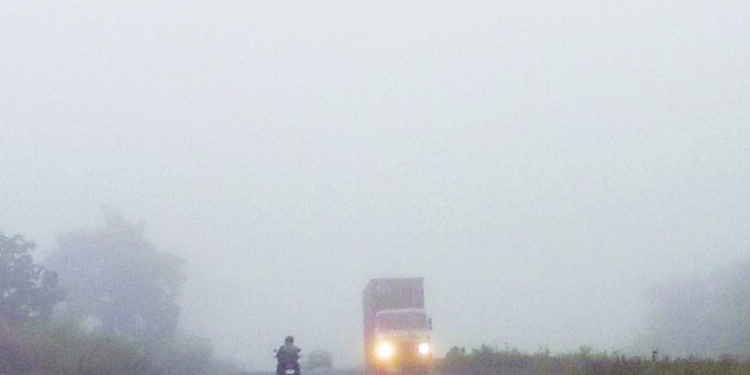 दाट धुक्यामुळे वाहतुकीस अडथळा