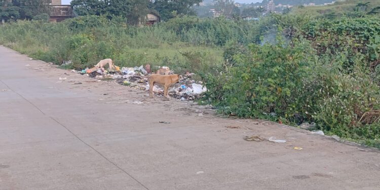 चाळधारकांचा कचरा रस्त्यावर