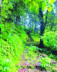 ढेबे-बर्गेवाडी रस्त्याला वन खात्याची मंजुरी