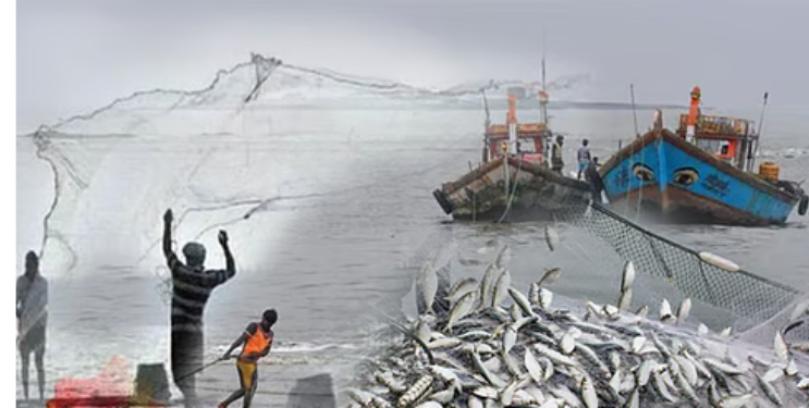 लहान मासे पकडल्यास थेट कारवाई