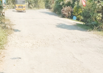 शेडूंग-बेलवली रस्त्याची डागडुजी करा