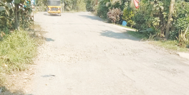 शेडूंग-बेलवली रस्त्याची डागडुजी करा