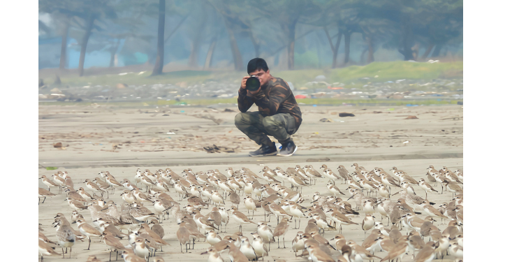 बदलत्या ऋतुमानाचा पक्ष्यांना फटका