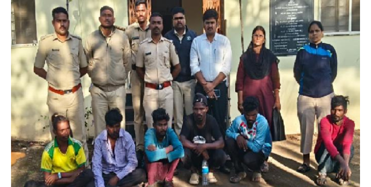 ऊसतोड मजुरांकडून मोरांची शिकार; सहा जणांवर गुन्हा दाखल