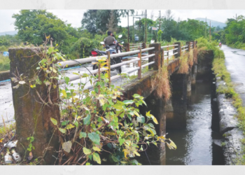 नवीन पुलाचा खर्च पाण्यात