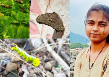 मोनिकाने जपला आगळावेगळा छंद