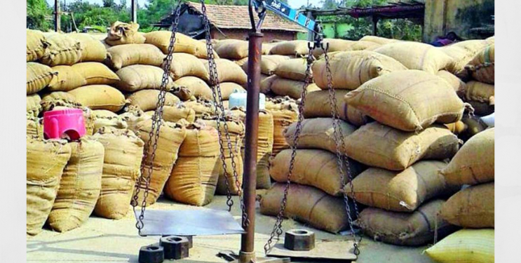 रायगडात 46 खरेदी केंद्रावर धानाची खरेदी