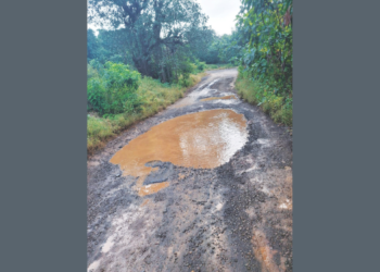 मांदाड रस्त्याची दुरवस्था