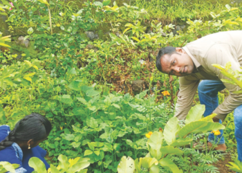 विद्यार्थ्यांनी फुलविला भाजीचामळा