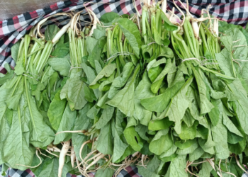 दवावर पिकणाऱ्या भाज्यांना मागणी