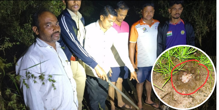 बाहे गावात बिबट्याची दहशत