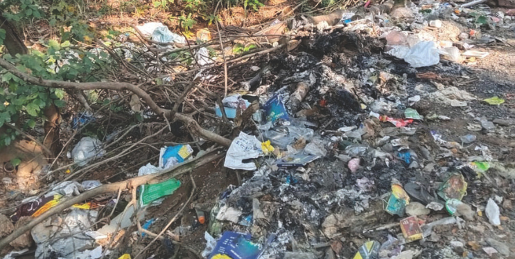 घंटागाडी अभावी कचरा रस्त्यावर