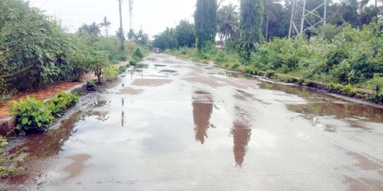 चिपळूण रेल्वेस्थानक रस्त्यावरील फुटपाथला झाडा-झुडपांचा वेढा