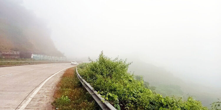 कामथे घाटात धुक्याची चादर