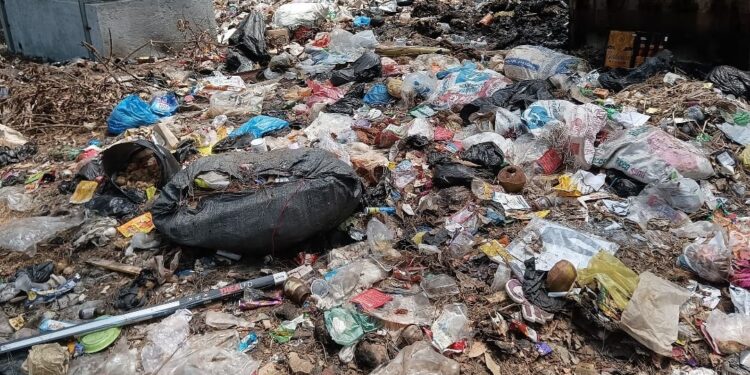 रेवदंडा परिसरात कचऱ्याचे ढीग