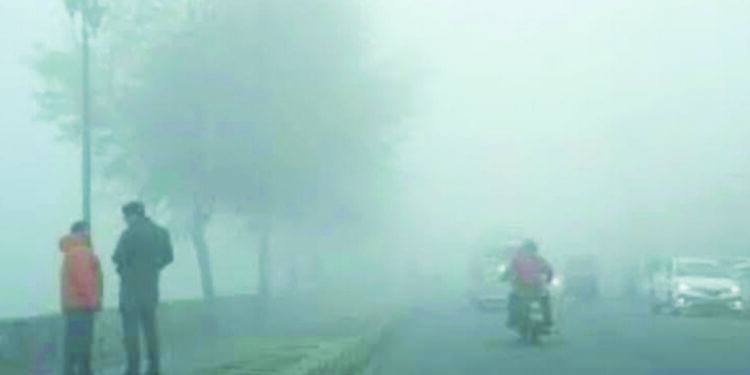 रोहा तालुक्यात गुलाबी थंडीची चाहूल