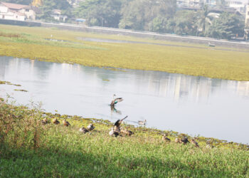 बल्लाळेश्वर तलावाला वाली कोण?