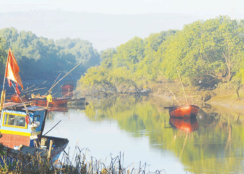 आमटेम-निगडे खाडीत उत्खनन