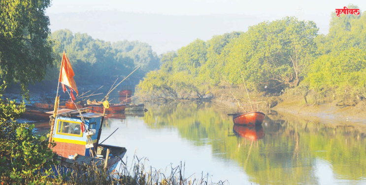 आमटेम-निगडे खाडीत उत्खनन
