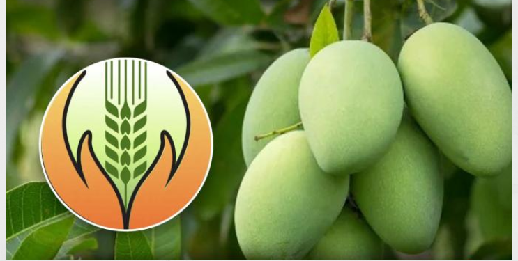 फळपीक विमा हप्ता भरमसाठ